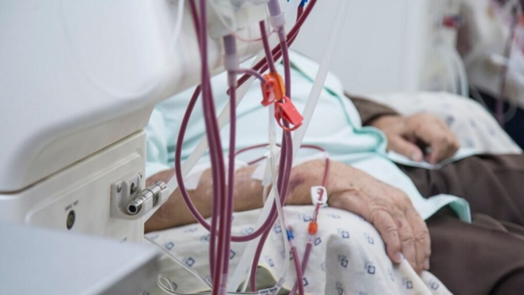 Key Factors for Predicting: Key Findings in Sepsis Prediction