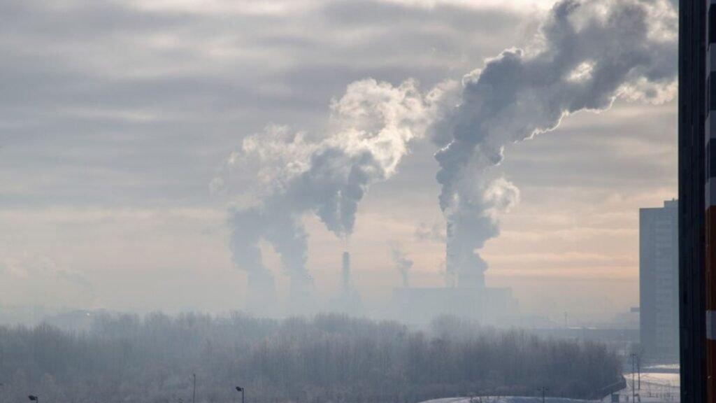 The Impact of Air Quality: Vulnerable Populations Affected by Poor Air Quality