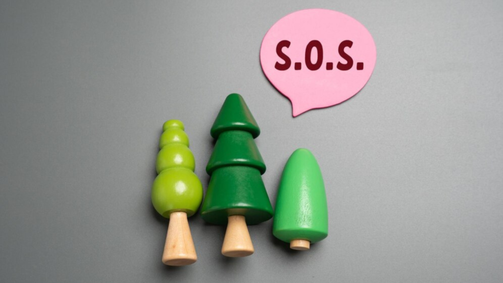 Eco-Friendly Choices That: What does Sustainable Celebration or Sustainability Even Mean?