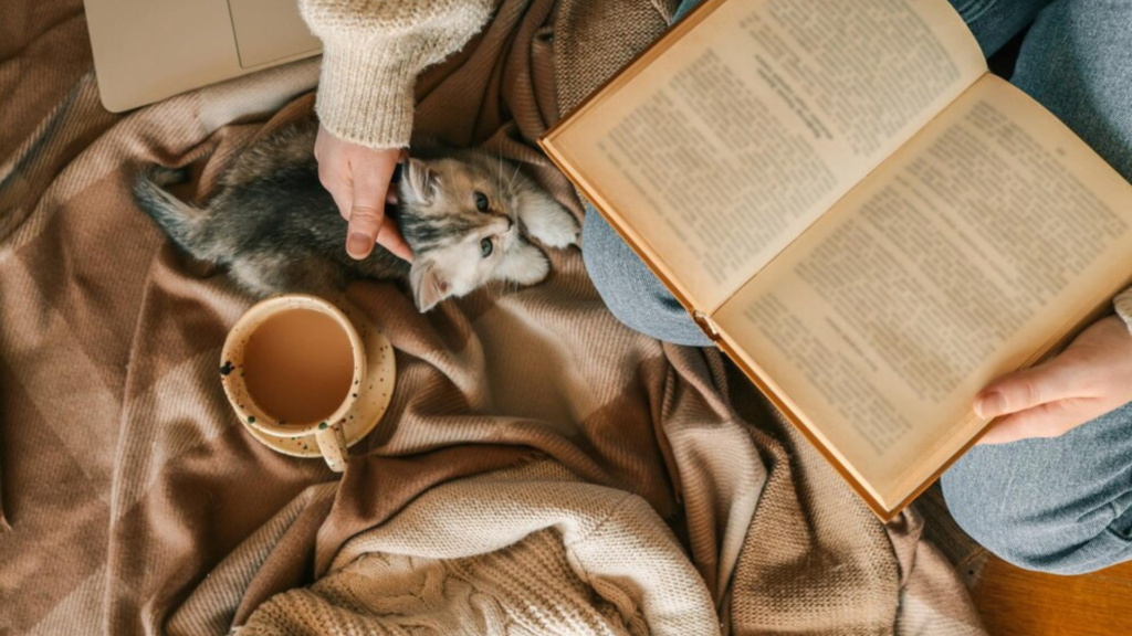 Cozy Reading Nook Decor: The Ideal Seating Nook