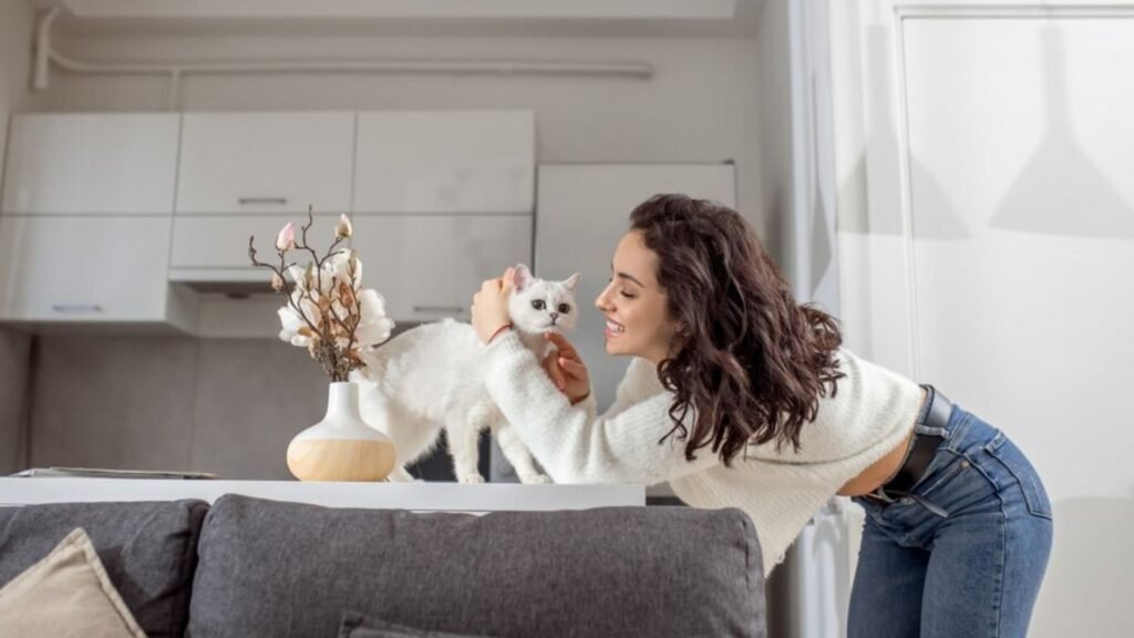 Design Tips for a Create a Functional Feeding Station