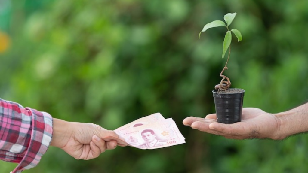 Seed Funding Defined