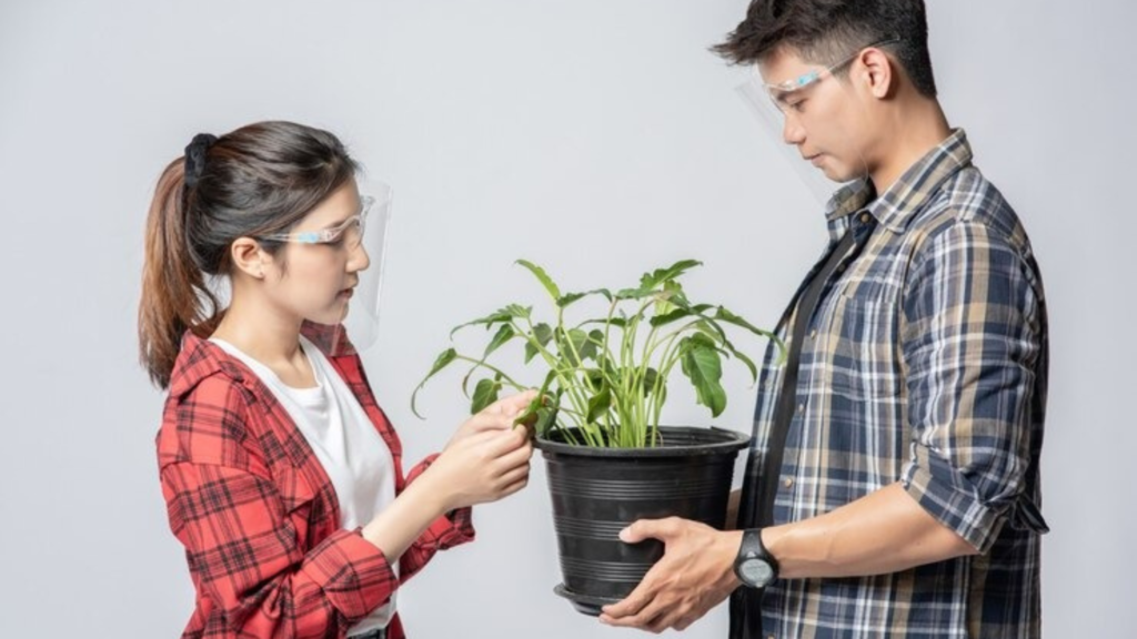 Types of Pre-seed Funding