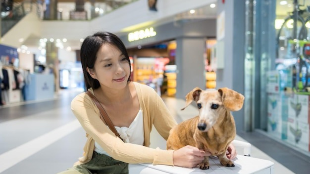 The Evolution of Pet Retail Spaces