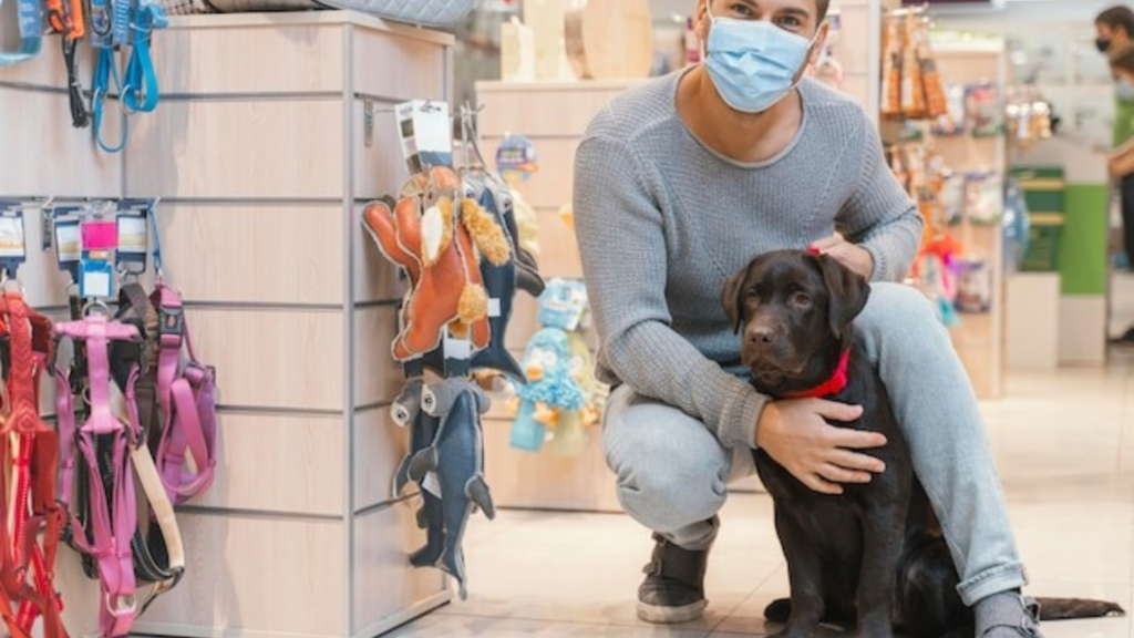 Tips for Evaluating Pet Shops