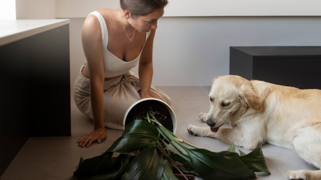 Sustainable Products and Supplies