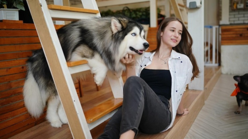 The Importance of Choosing the Right Pet Supplies Store