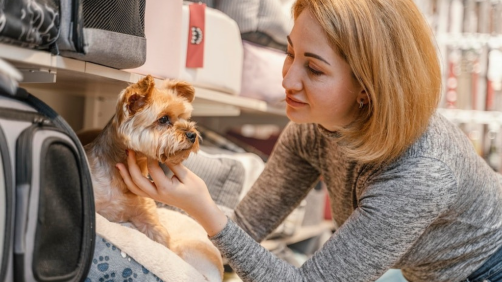 The Dog Boutique Experience
