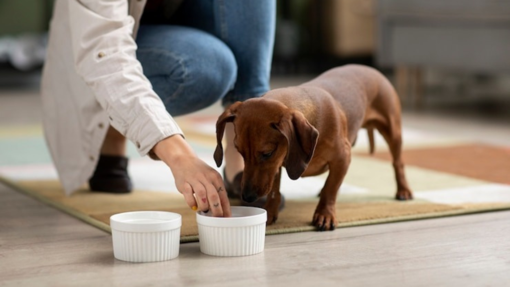Look for AAFCO statements on your pet's food