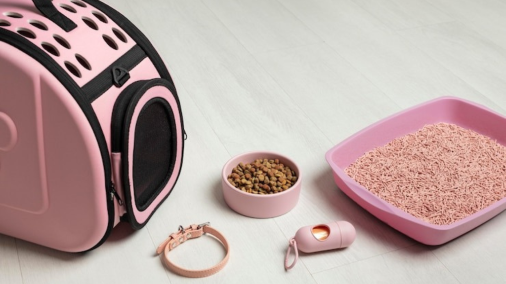Louis Vuitton Dog Carrier