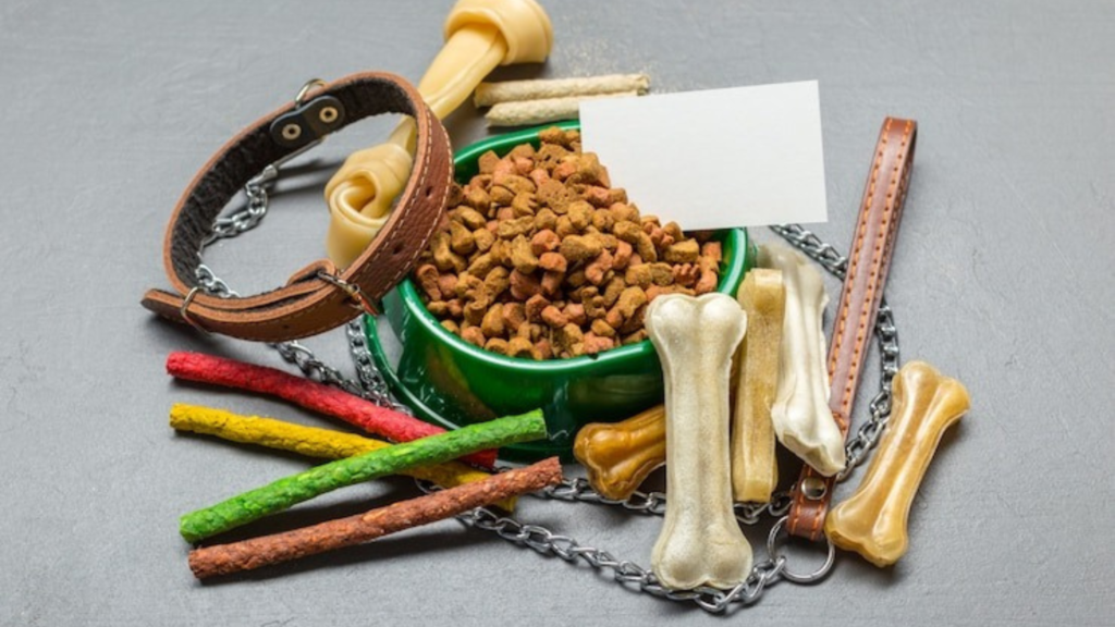 Pet accessories, a world of opportunities