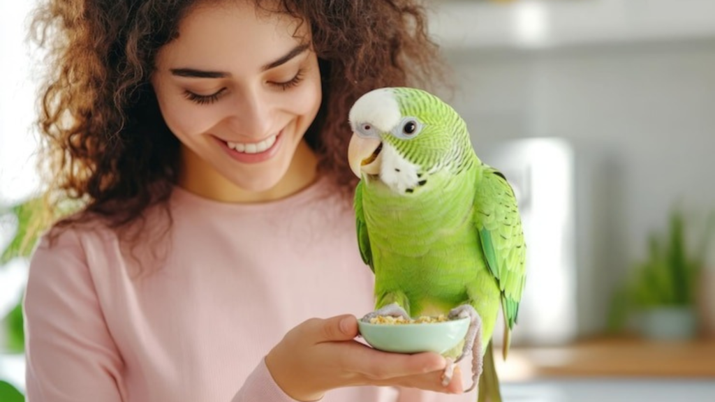 Bird Supplies for Beginners