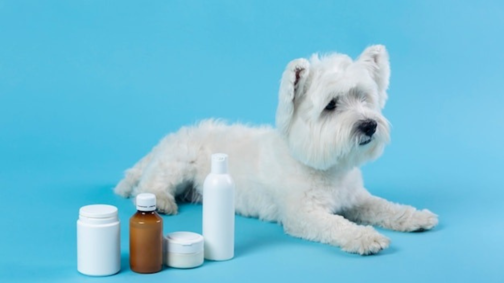 Calming Supplements for Dogs