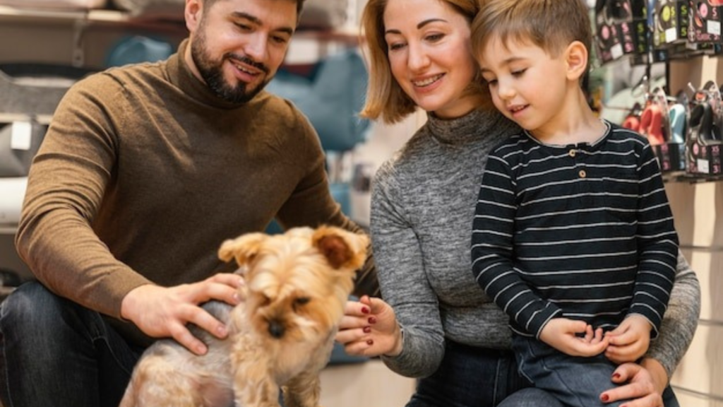 How to Plan a Pet-Friendly Vacation