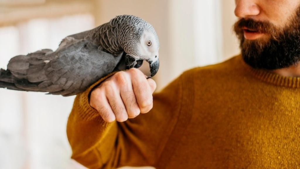 Use any brand of nonstick cookware