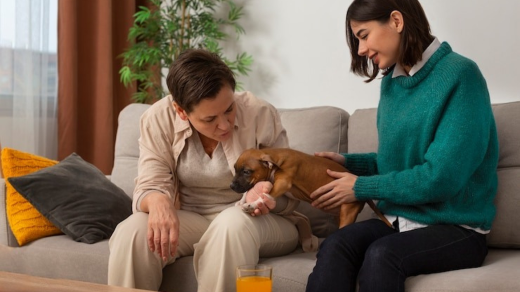 Do your pets get lonely?