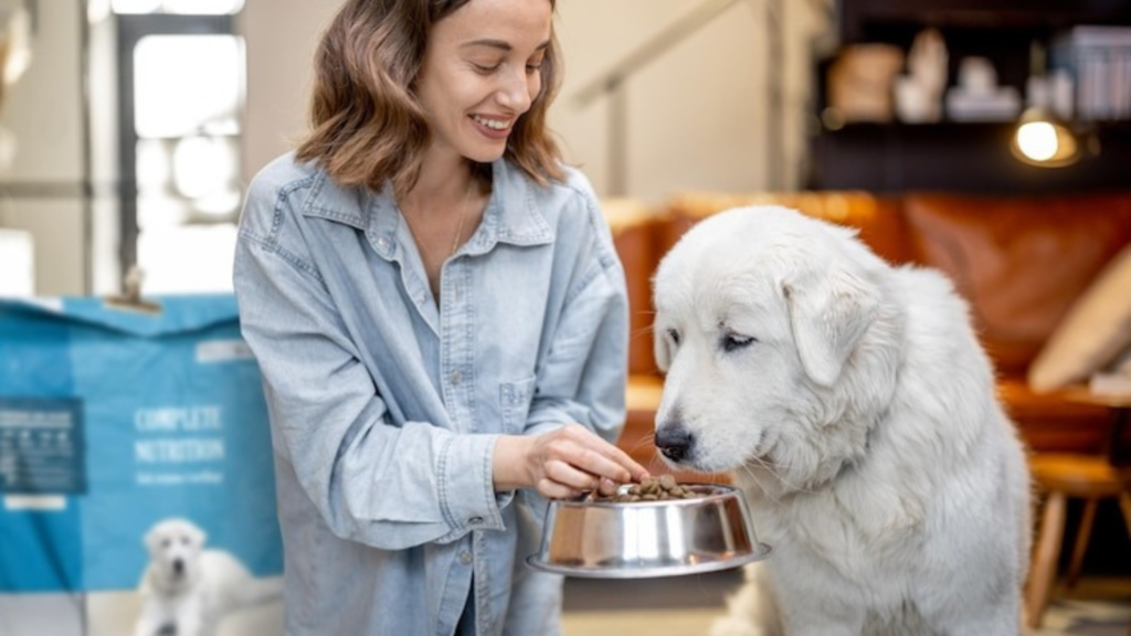 Understanding Dog Nutrition