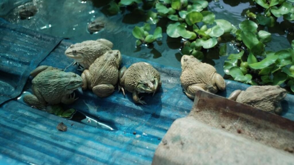 Choosing the Right Product Size and Design