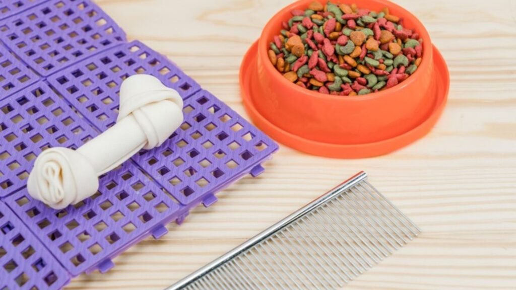 Benefits of Wet Food for Small Dogs