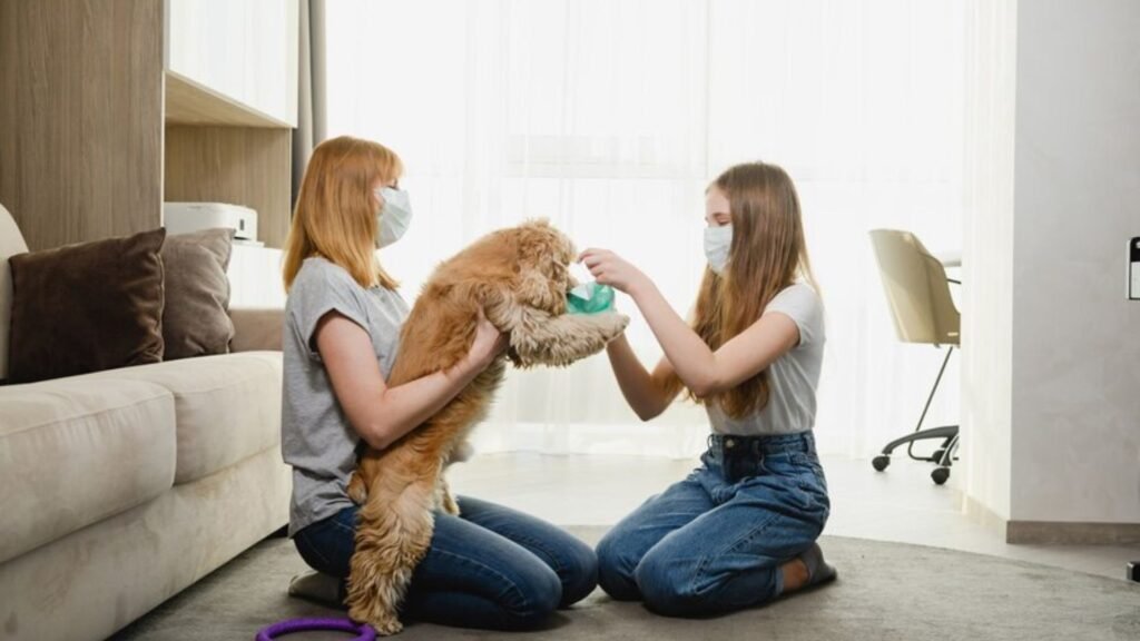 Accepting Your Pet’s Need for Company and Protecting Living Areas