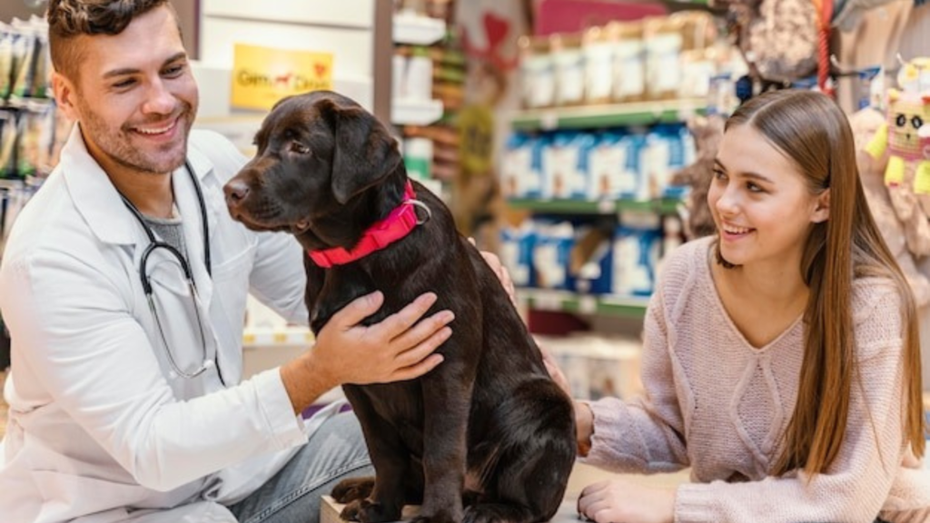 Considering Adoption Options Available in Pet Shops