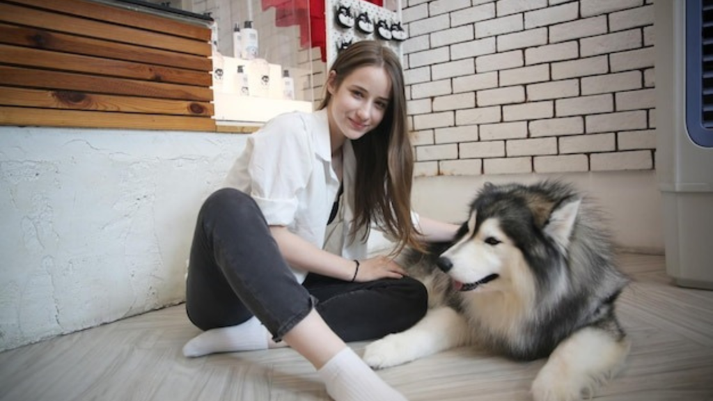Key Factors to Consider When Evaluating Pet Supplies Stores