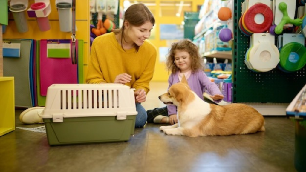 Smart Pet Feeder