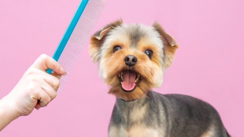 Pet Grooming Technology