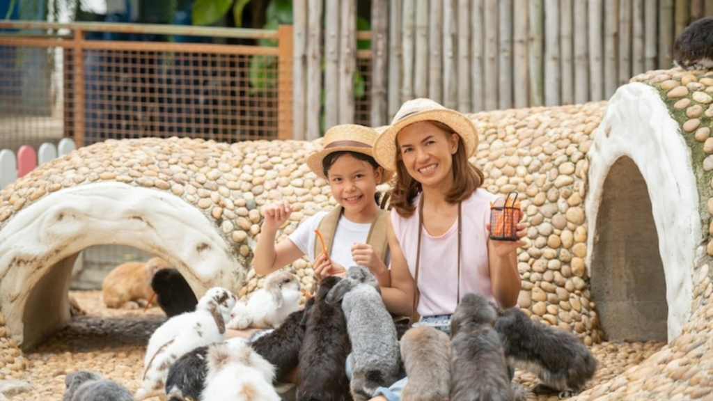A Note About Ethically Sourced Pets