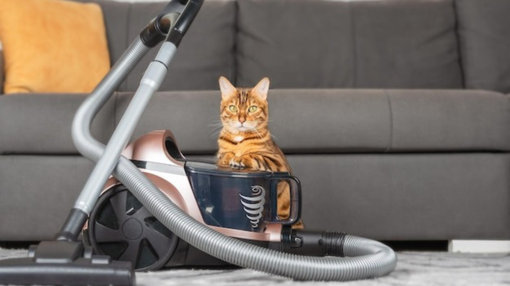 Considerations Before You Get Started