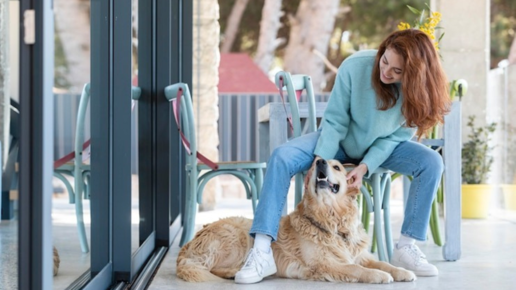 Stylish and Pet-Friendly: How to Design Your Small Home for Comfort and Elegance