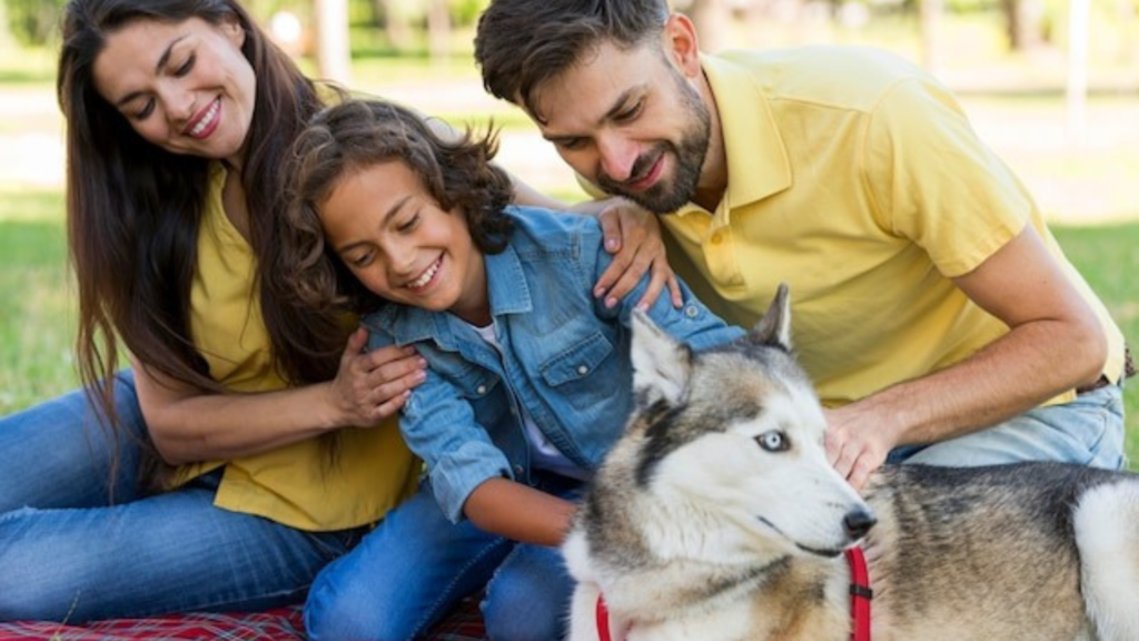 Where to Go: Choosing a Pet-Friendly Destination