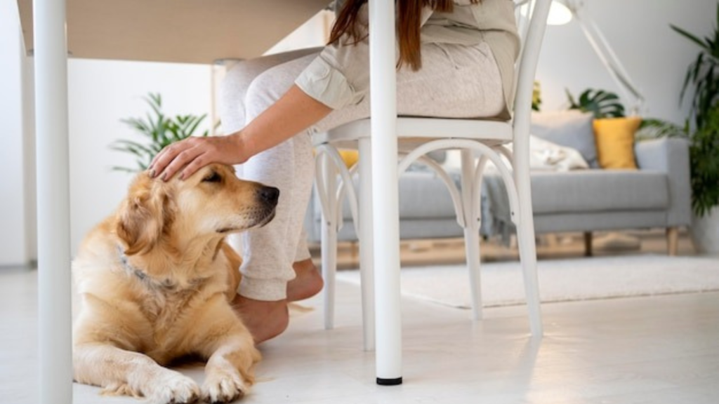What are some effective pet-care marketing strategies?