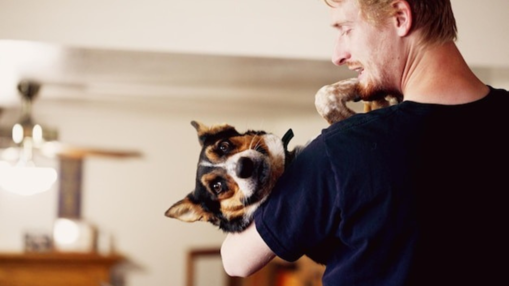 Popular Pet Product Categories with Strong Sales Potential