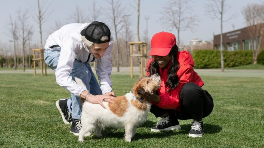 How does dog behavior impact pet businesses?