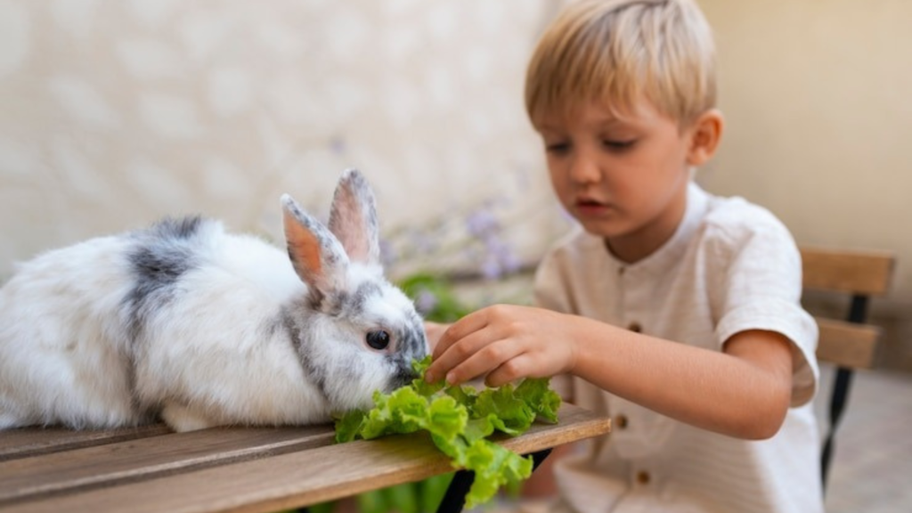 The Building Blocks Of A Healthy Diet