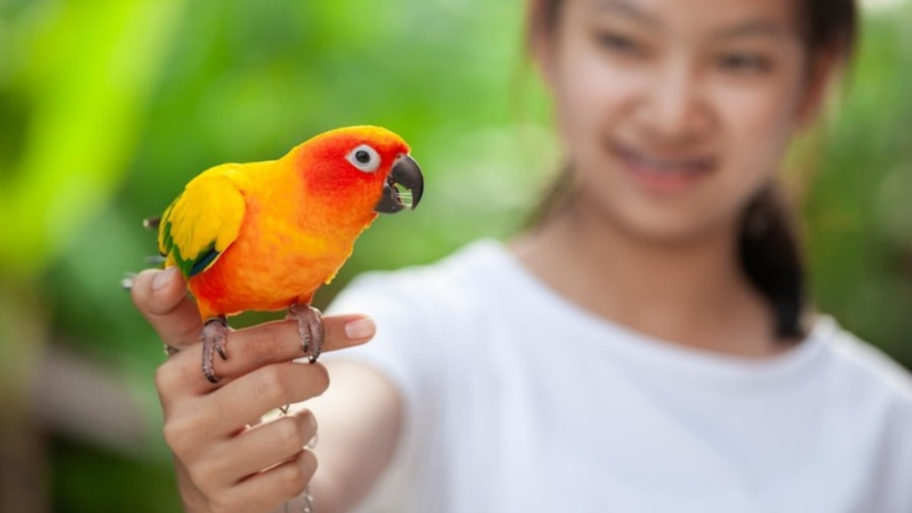 Things for You to Totally Avoid