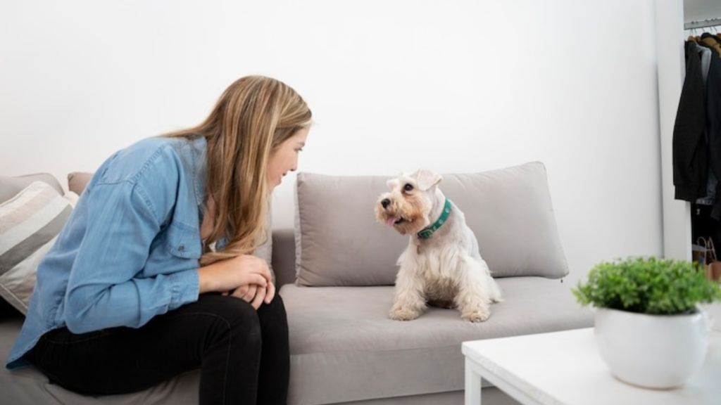 Understanding How Isolation Affects Them