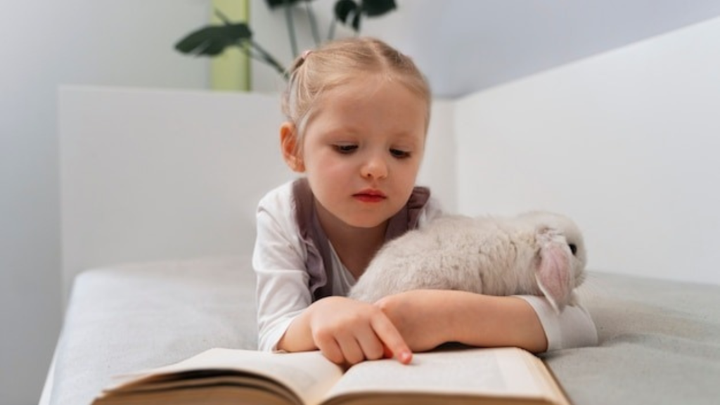 Bodens’ premium quality wood based pet