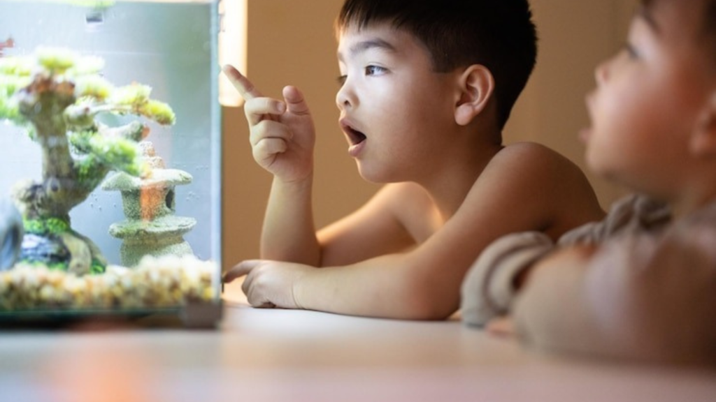 Live and Frozen Foods