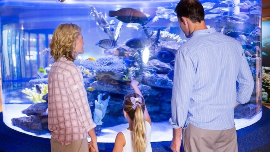 Why keep plants in your aquarium in the first place?