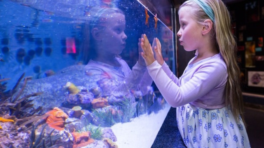 How Lighting Affects Fish