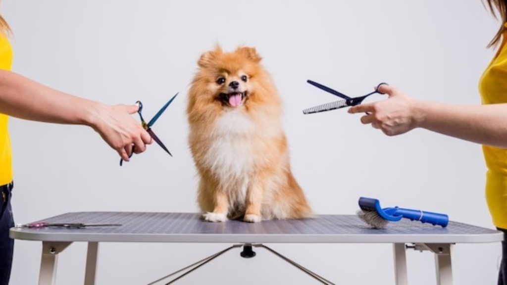 Pet Grooming Technology