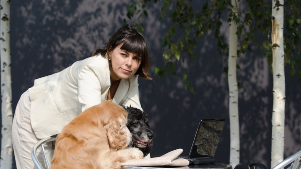 How to Find a Suitable Pet Warehouse?