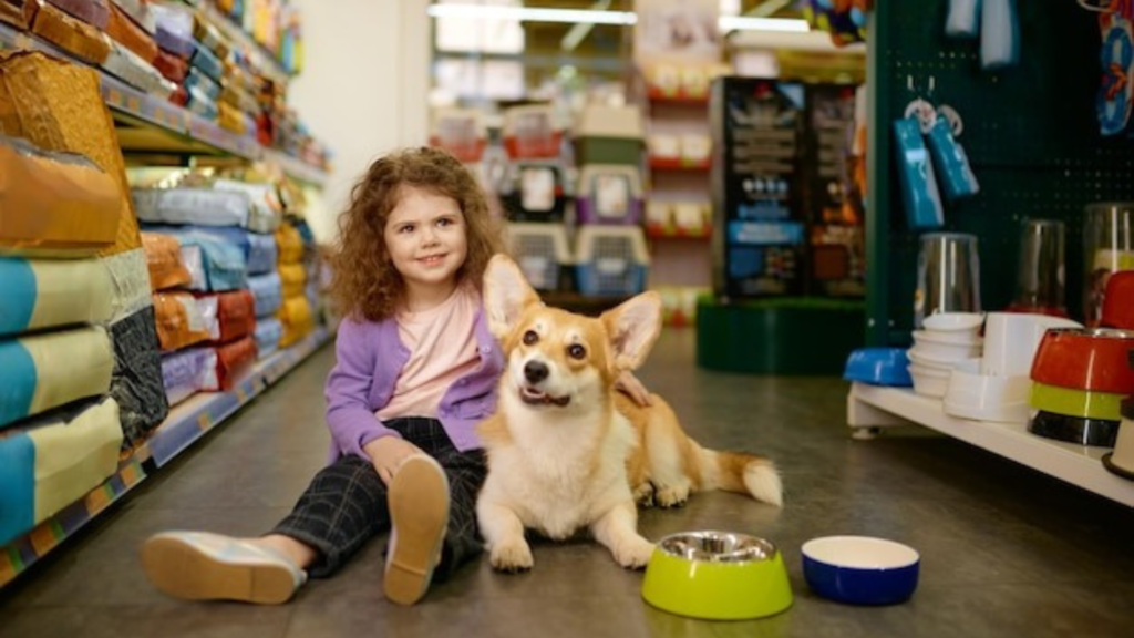 Dog Car Beds