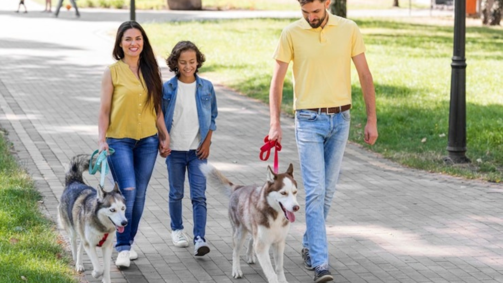 Top Dog-Friendly Travel Destinations