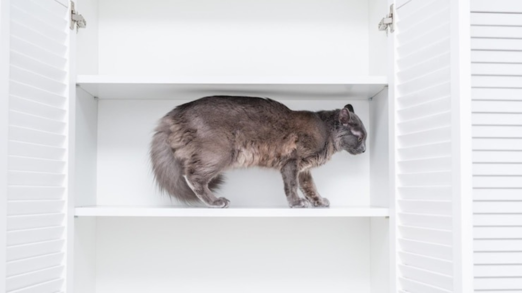 What Do the Comments Say?