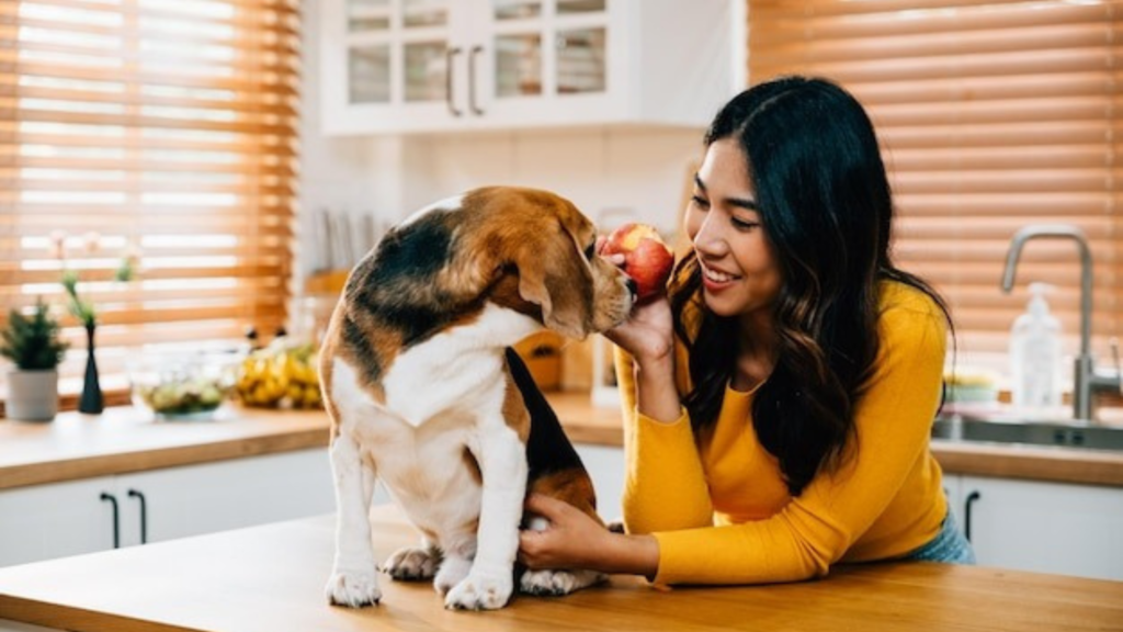 Enhance Customer Loyalty Programs