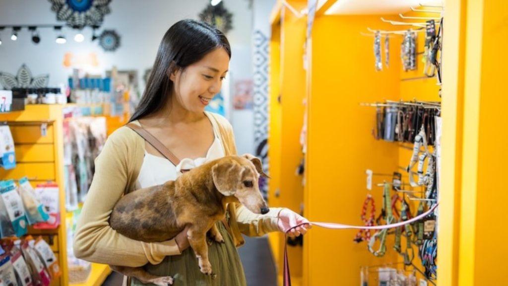 Researching Current Pet Market Trends