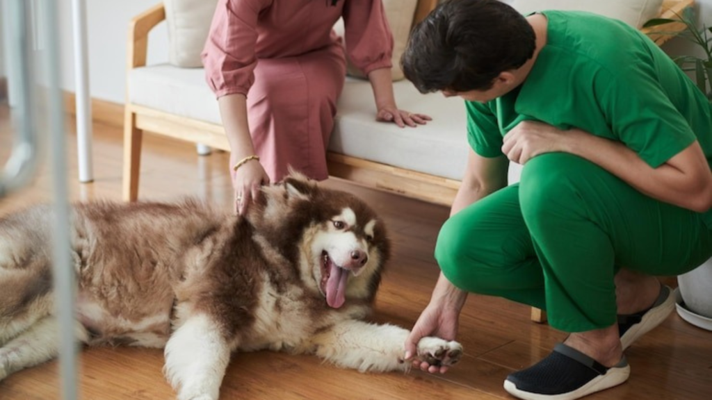 How can a dog trainer connect with other busy pet businesses?